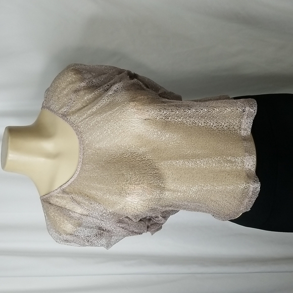 TOP SHOP TAUPE LACE CROP TOP WITH RUFFLED SLEEVES SIZE 6 ZIPPER BACK - Picture 2 of 8
